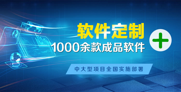 海盐软件开发